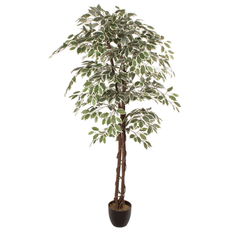 Kunsttaim FICUS 1.80m